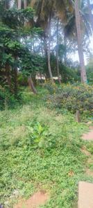 Residential Plot