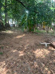 Image of 3484 Sq.ft Residential Plot / Land for sale in Chembukkav, Thrissur for Rs. 5400000