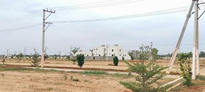Image of 1980 Sq.ft Residential Plot / Land for sale in Allipuram, Nellore for Rs. 3025000