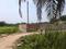 R.K.Pally Plot View 1
