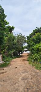 Residential Plot