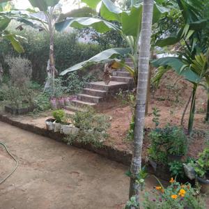 Image of 1200 Sq.ft 3 BHK Independent House for sale in Shoranur, Palakkad for Rs. 2900000