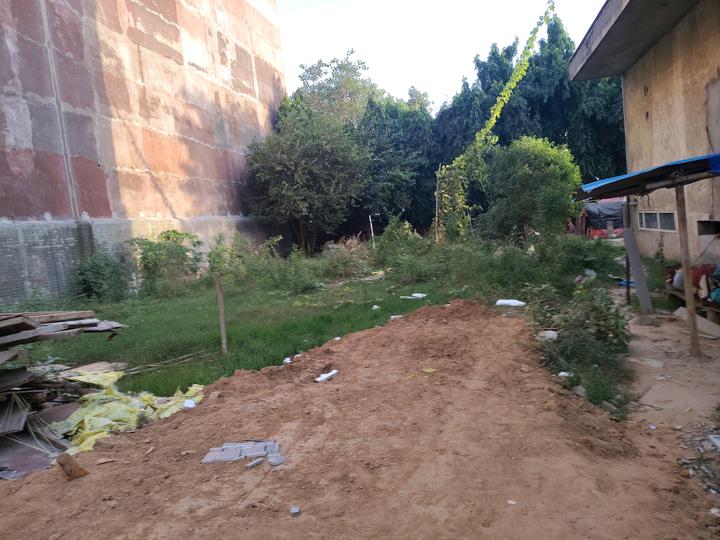 Lohia Main Image 1