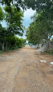 Residential Plot
