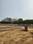 Wave City Main Image 1