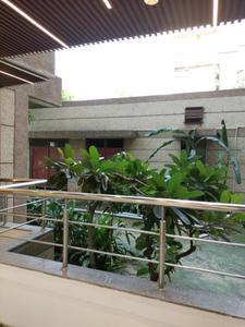 Living Room Image of 1800 Sq.ft 3 BHK Apartment / Flat for sale in Divya Apartments, Sector 10 Dwarka New Delhi for Rs. 28500000