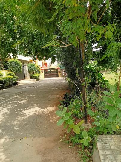 Nandi Gardens Phase 2 Main Image 1