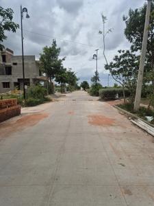 BVL Premio Phase 1 Plot View 2