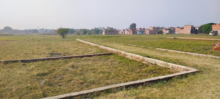 Parao Main Image 1