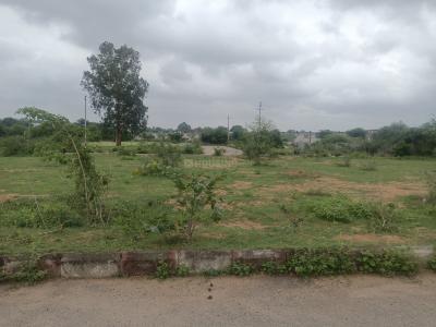 Image of 1485 Sq.ft Residential Plot / Land for sale in Shadnagar, Ranga Reddy for Rs. 3600000