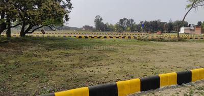 Image of 1000 Sq.ft Residential Plot / Land for sale in Palhari, Barabanki for Rs. 800000