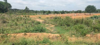 Image of 2738 Sq.ft Residential Plot / Land for sale in Somalapura, Chikballapur District for Rs. 9993700
