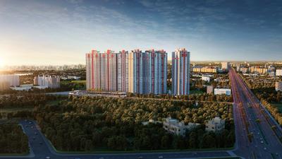 Building Image of 1173 Sq.ft 3 BHK Apartment / Flat for sale in F Premium, Tathawade Pune for Rs. 12500000