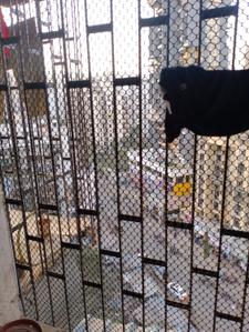 Balcony Image of 1100 Sq.ft 2 BHK Apartment / Flat for rent in Labh Status Vihar, Kharghar Navi Mumbai for Rs. 35000