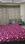 Bedroom Image of Varsha&#x27;s PG in Shalimar Bagh, New Delhi