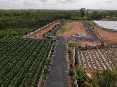 Image of 1200 Sq.ft Residential Plot / Land for sale in Malur, Kolar for Rs. 3600000