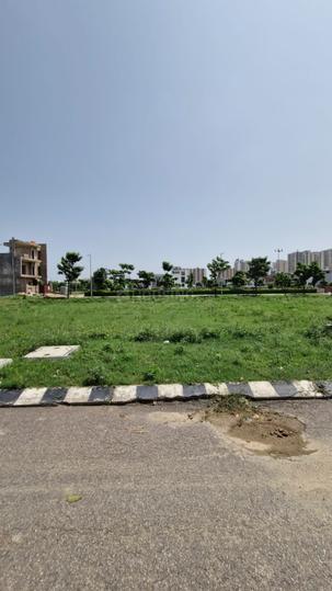 Wave City Residential Plots Main Image 1