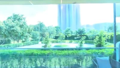 Ace Acreville Plot View 2