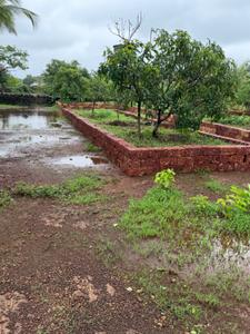 Image of 24976 Sq.ft Residential Plot / Land for sale in Niwali, Ratnagiri for Rs. 9000000
