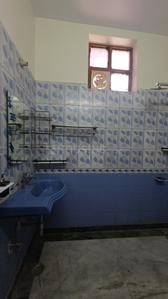 Image of 1350 Sq.ft 3 BHK Builder Floor for rent in Pitampura, New Delhi for Rs. 40000