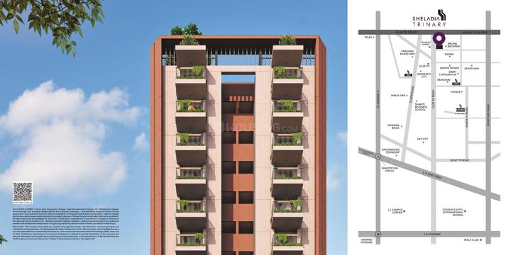 Sheladia Trinary Main Image 1