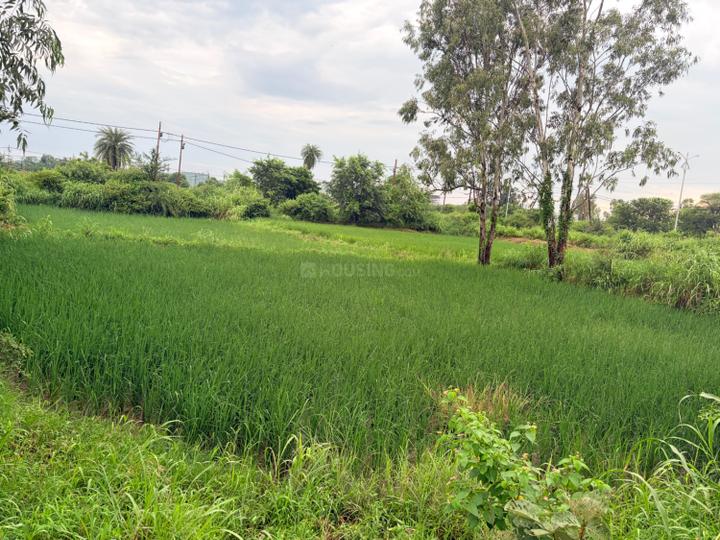Badwai Main Image 1