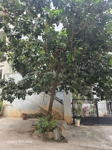 Block 2 Plot View 2