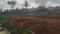 Off to Jp nagar ring road Mysore Plot View 2