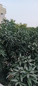 Image of 1245 Sq.ft 3 BHK Apartment / Flat for sale in Airport Gate no. 1, Kolkata for Rs. 4500000