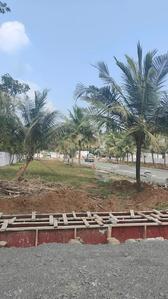 Residential Plot