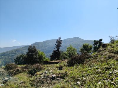 Near By Jim Corbett Plot View 2