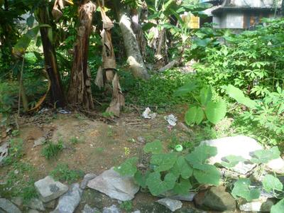 Image of 1600 Sq.ft 4 BHK Independent House for sale in Peroorkada, Thiruvananthapuram for Rs. 6500000