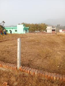 Kala gaon Plot View 1