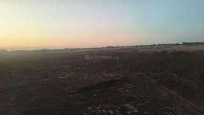 Image of 54450 Sq.ft Residential Plot / Land for sale in Reddiarpatti, Tirunelveli for Rs. 25000000