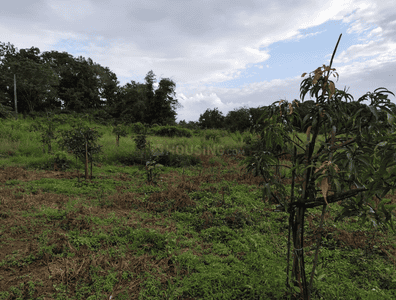 Image of 21780 Sq.ft Residential Plot / Land for sale in Murbad, Thane for Rs. 3500000