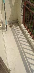 Balcony Image of 540 Sq.ft 1 BHK Builder Floor for rent in Sector 49 Gurgaon for Rs. 18000