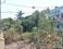 Badaga's Colony Plot View 2