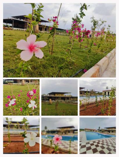 Neralu farms Main Image 1