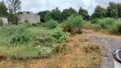 Residential Plot