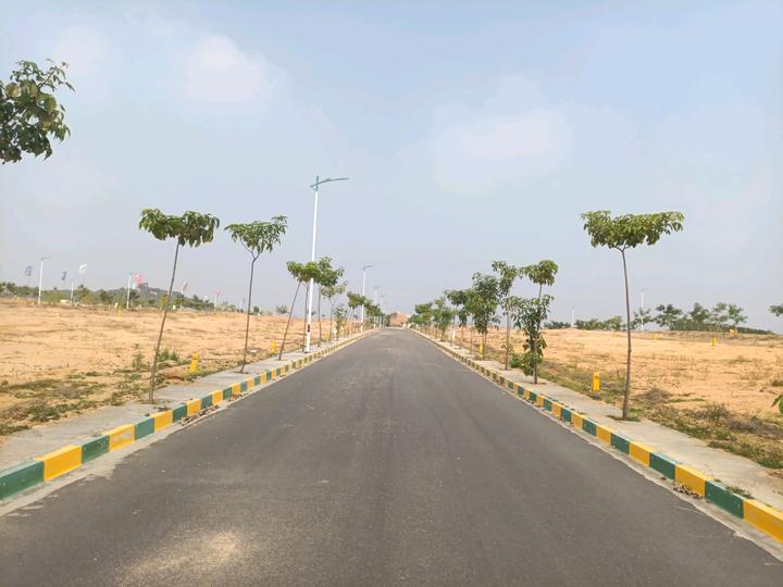 SGD Elite Main Image 1