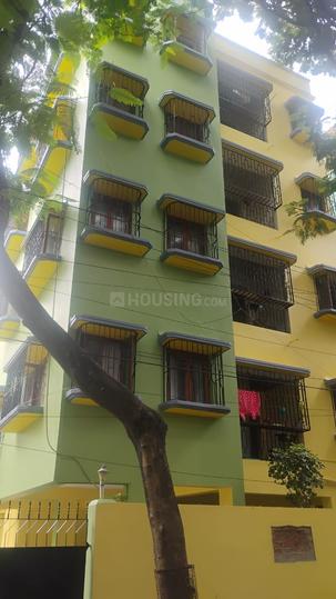 Camellia Main Image 1