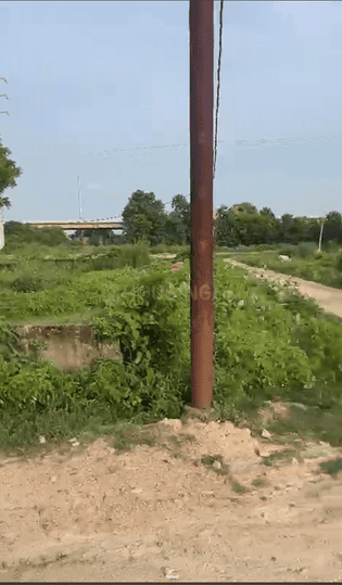 Banthra Sikander Pur	 Main Image 1