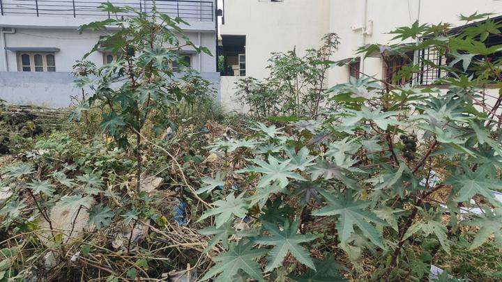 M Vishveshvaraiah Nagar Main Image 1