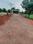 Esr Srikala Classic Plot View 1
