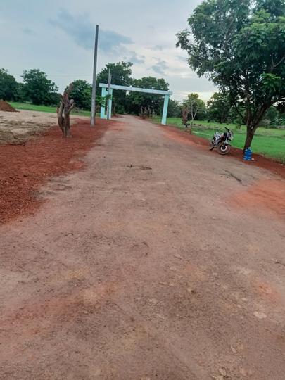 Esr Srikala Classic Plot View 1