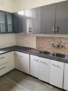 Kitchen Image of 2275 Sq.ft 3 BHK Builder Floor for rent in Sector 46 Noida for Rs. 55000