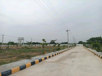 IDA Plot View 1