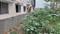 Sadashivnagar Main Image 1