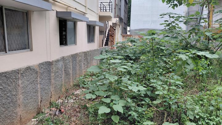 Sadashivnagar Main Image 1