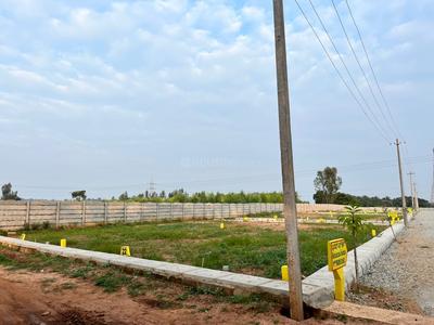 Residential Plot